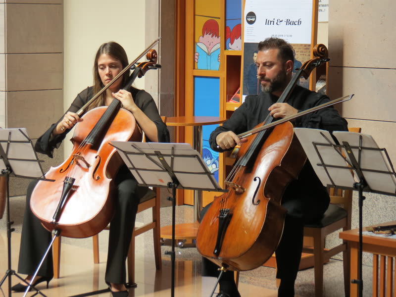 Two cellists playing side by side